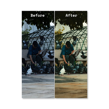 Plaza Preset Pack